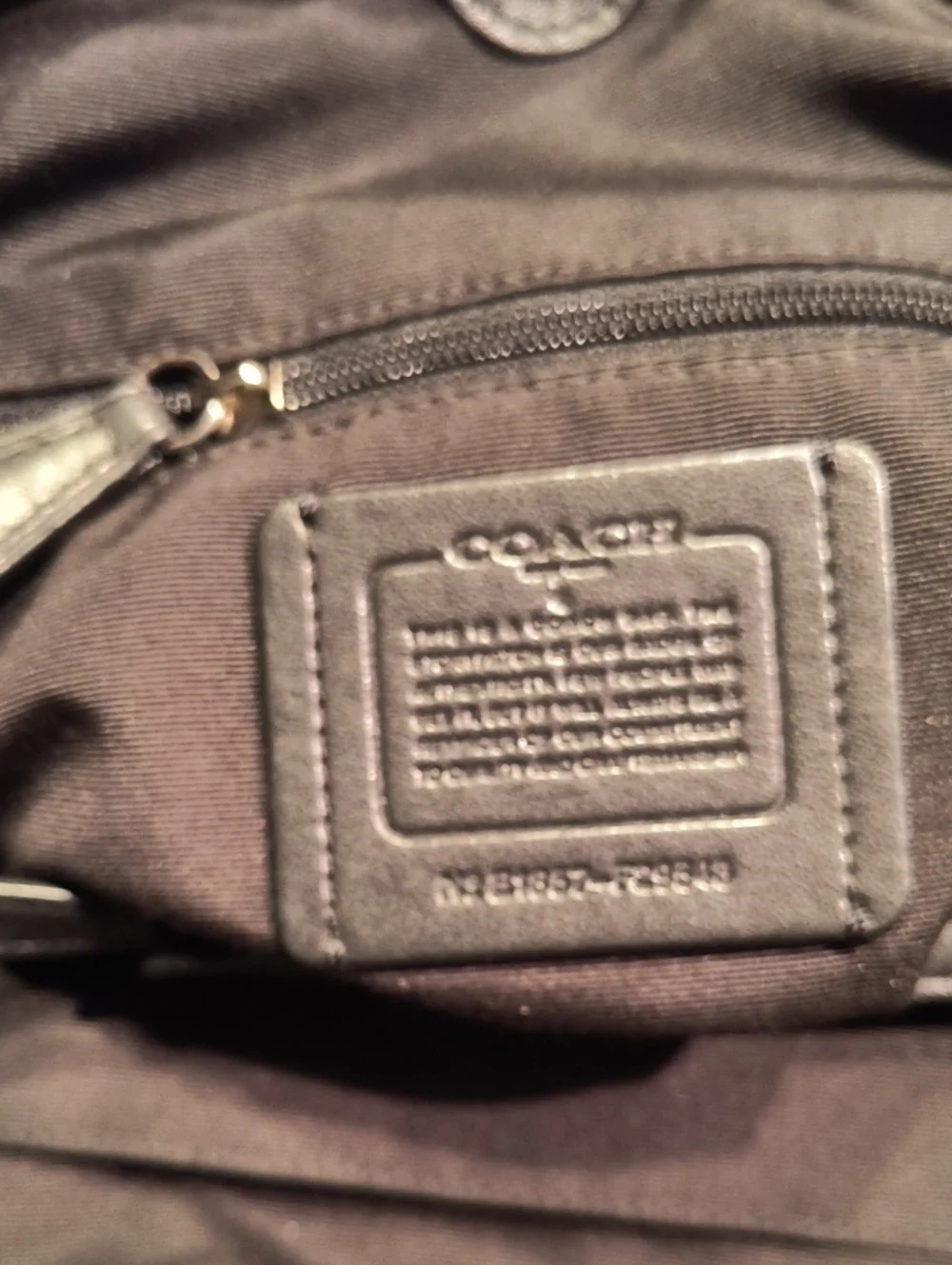 Coach versatile use